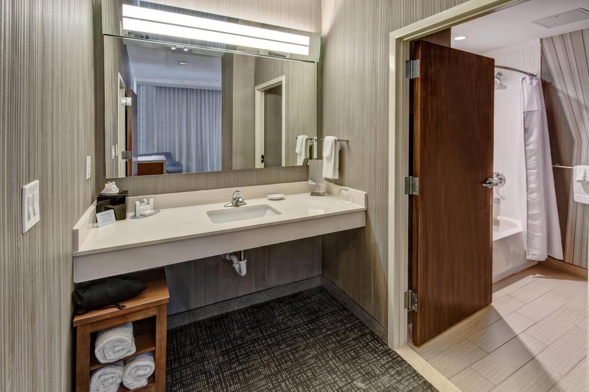 One King Suite with Sofa Bed