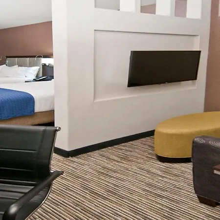 Holiday Inn Austin Airport By Ihg-2