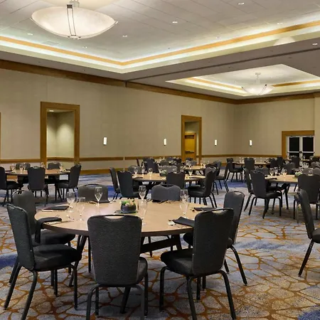The Westin Austin At The Domain-2