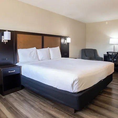 Baymont By Wyndham Austin University Area-2
