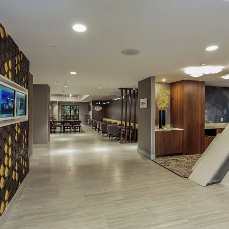 Springhill Suites By Marriott Austin The Domain Area-2