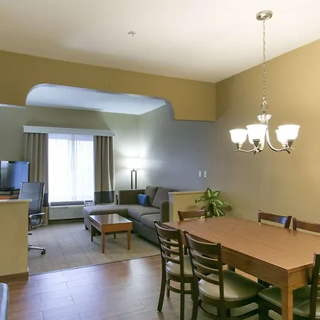 Comfort Suites Austin Nw Lakeline-2