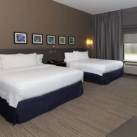 Hilton Garden Inn Austin Airport-3